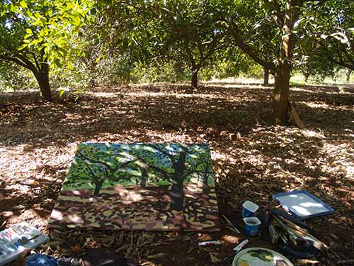 08-Oranges-DryGrass-4