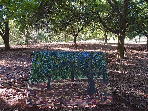 08-Oranges-DryGrass-7