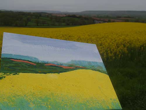 08-RainyRapeseed-6