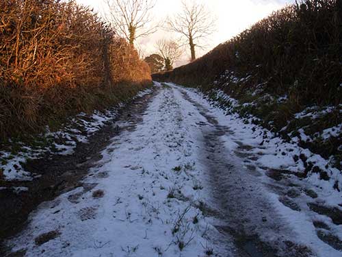 09-SnowLane-4