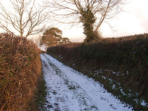 09-SnowLane-6