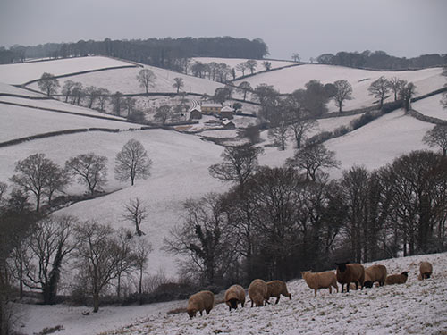 09-SnowSunset-ChippleHill-03