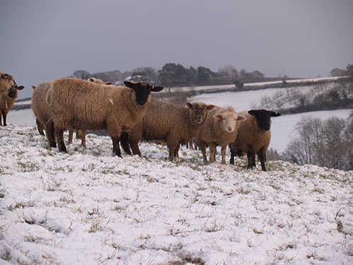 09-SnowSunset-ChippleHill-05