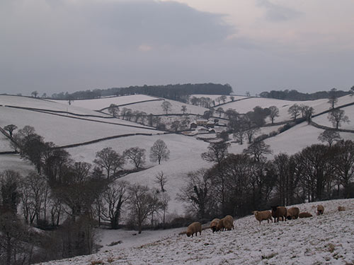 09-SnowSunset-ChippleHill-07