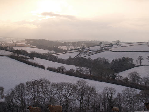 09-SnowSunset-ChippleHill-14
