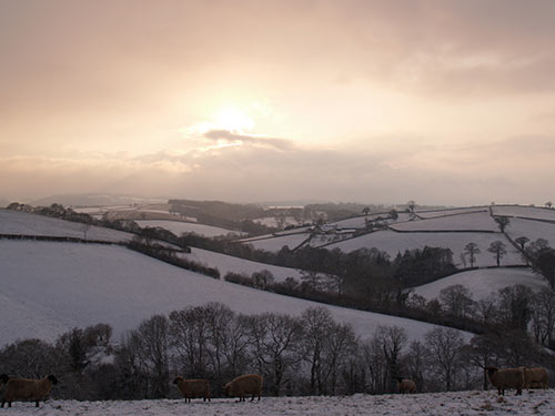 09-SnowSunset-ChippleHill-18
