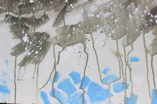 13-Blackthorn&Bracken-13