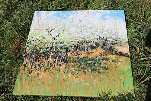 13-Blackthorn&Bracken-16