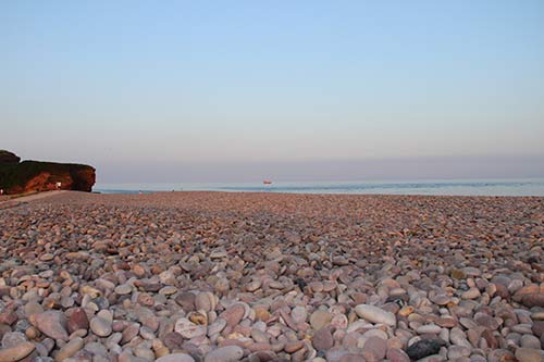 13-PineReflections-Budleigh-04