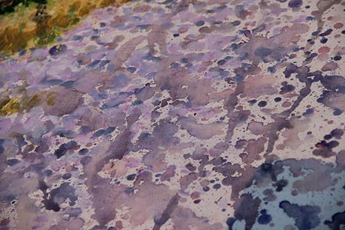 13-PineReflections-Budleigh-05