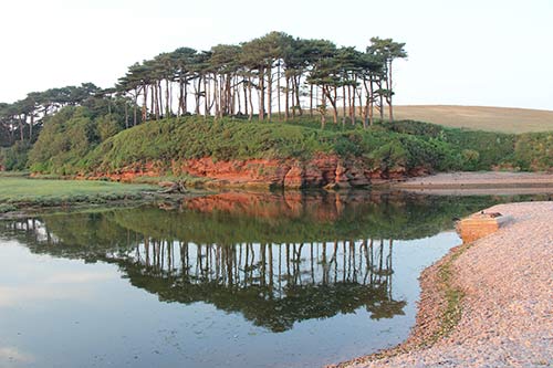 13-PineReflections-Budleigh-15b