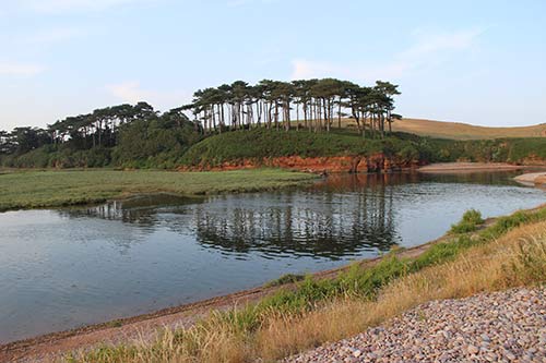13-PineReflections-Budleigh-15c