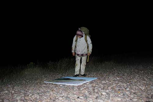 13-PineReflections-Budleigh-25