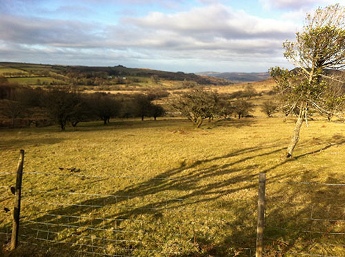 15-GoldenLight-Dartmoor-1