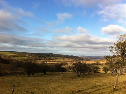 15-GoldenLight-Dartmoor-3