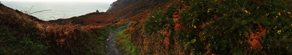 15-Strangles-8-9Nov-1