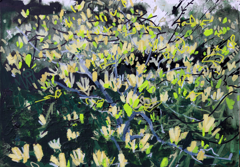 Yellow Magnolia I by Devon Landscape-Graffiti Artist Joe Webster