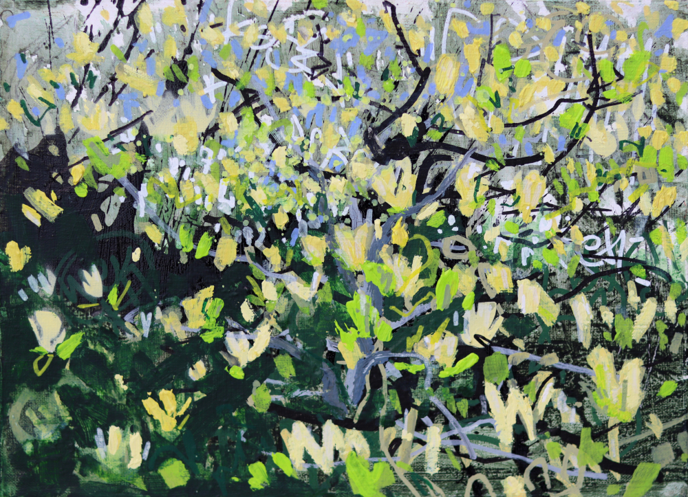 Yellow Magnolia II by Devon Landscape-Graffiti Artist Joe Webster