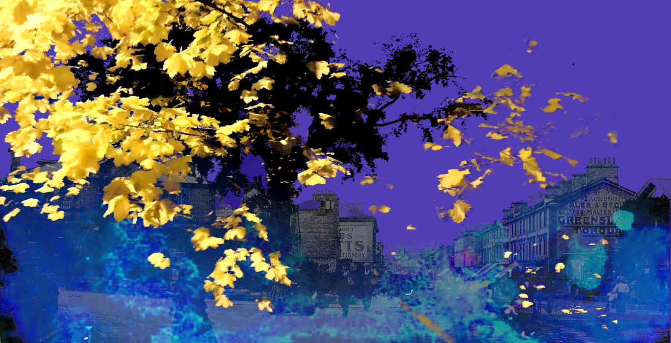The Community Tree_LayerSlider IMG